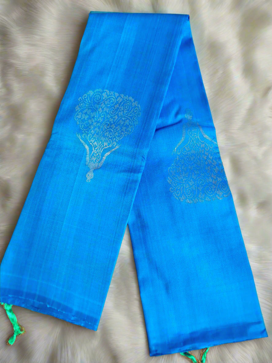 Pure Handloom Soft Silk - Aqua Blue & Aqua Green Diva Design